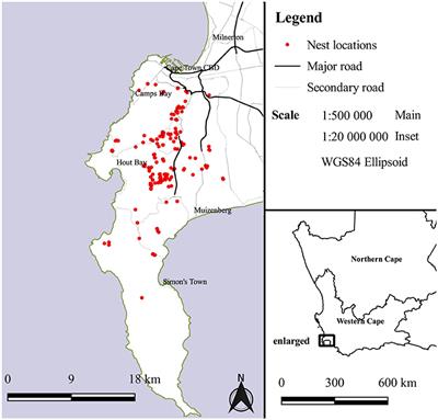 Does Seasonal Decline in Breeding Performance Differ for an African Raptor across an Urbanization Gradient?